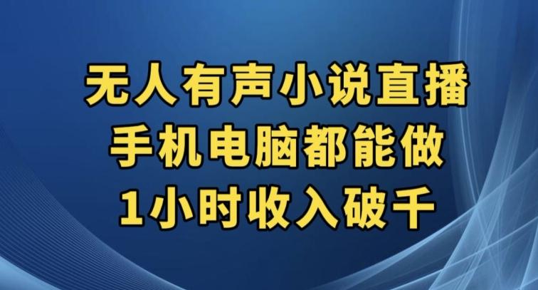 抖音无人有声小说直播，手机电脑都能做，1小时收入破千【揭秘】-小艾项目网