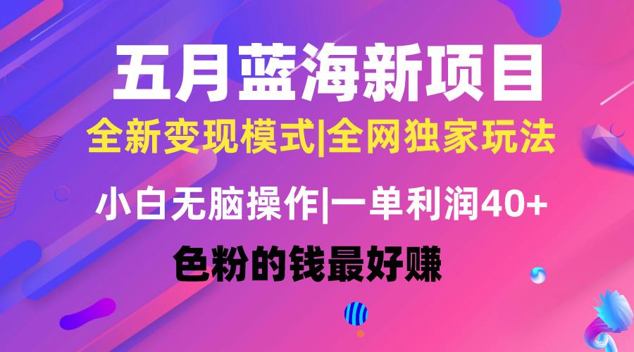 五月蓝海项目全新玩法，小白无脑操作，一天几分钟，矩阵操作，月入4万+-小艾项目网