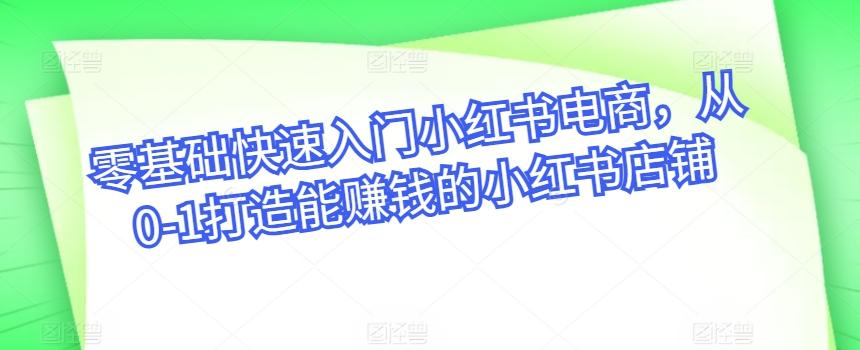 零基础快速入门小红书电商，从0-1打造能赚钱的小红书店铺-小艾项目网