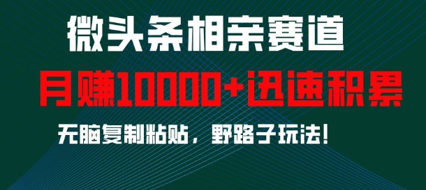 微头条相亲赛道，迅速积累，无脑复制粘贴，野路子玩法，月入1w-小艾项目网