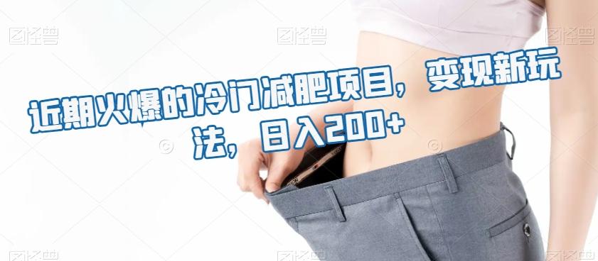 近期火爆的冷门减肥项目，变现新玩法，日入200+-小艾项目网