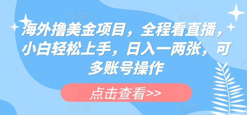海外撸美金项目，全程看直播，小白轻松上手，日入一两张，可多账号操作【揭秘】-小艾项目网