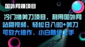 冷门撸美刀项目，利用国外网站刷视频，轻松日入80+美刀，可放大操作，小白随便上手-小艾项目网