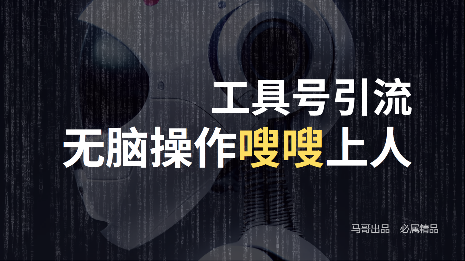 工具号高效引流法，嗖嗖上人，日引1000+，直接搬运，无脑操作-小艾项目网