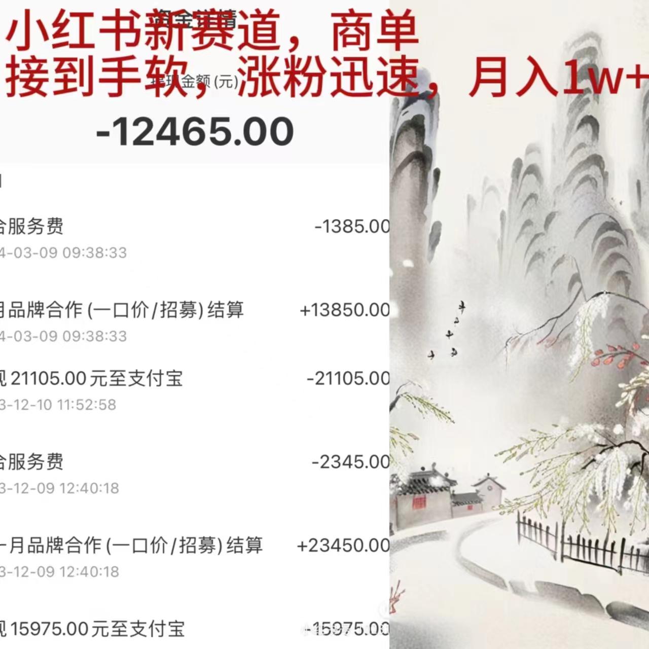 (9476期)小红书新赛道，商单接到手软，涨粉迅速，月入1w+-小艾项目网
