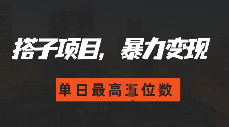 2024搭子玩法，0门槛，暴力变现，单日最高破四位数【揭秘】-小艾项目网