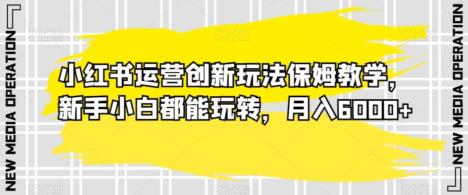 小红书运营创新玩法保姆教学，新手小白都能玩转，月入6000+【揭秘】-小艾项目网
