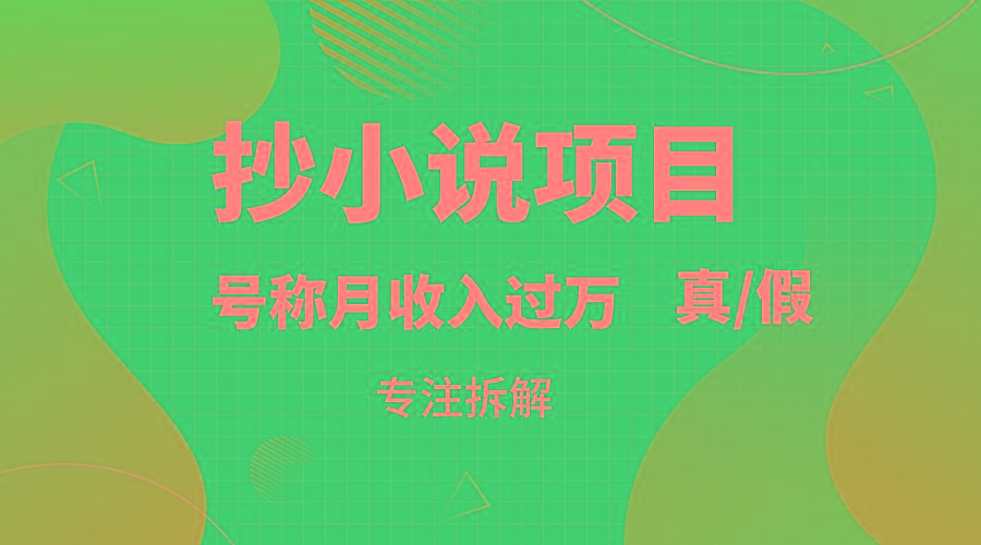 抄小说项目，号称月入过万，到底是否真实，能不能做，详细拆解-小艾项目网