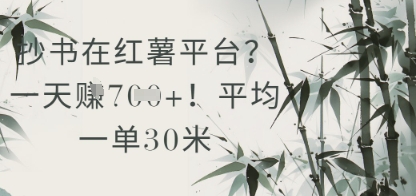 抄书在小红薯平台？平均一单30米，一天收益几张！-小艾项目网