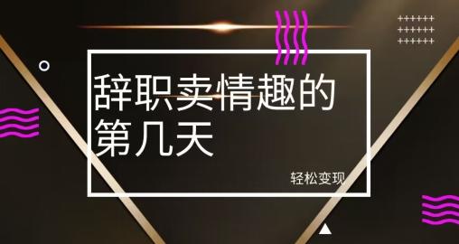 冷门赛道，辞职卖情趣的第几天，超暴力项目-小艾项目网