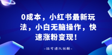 0成本，小红书最新玩法，小白无脑操作，快速涨粉变现-小艾项目网