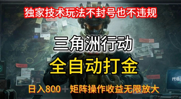 三角洲板砖揭秘项目免费送卡密-小艾项目网