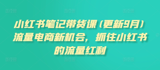 小红书笔记带货课(更新25年9月)流量电商新机会，抓住小红书的流量红利-小艾项目网