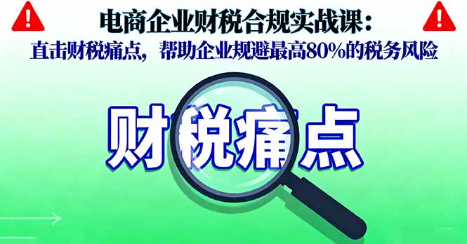 电商企业财税合规实战课，直击财税痛点，帮助企业规避最高80%的税务风险-小艾项目网