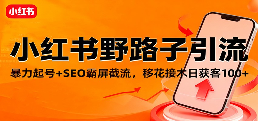 小红书野路子引流，暴力起号+SEO霸屏截流，移花接木日获客100+-小艾项目网
