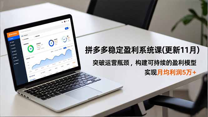拼多多稳定盈利系统课(更新11月-小艾项目网