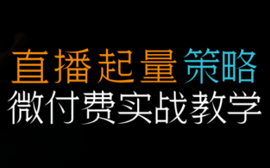 半野老师·直播带货起量与微付费必学课视频号-小艾项目网