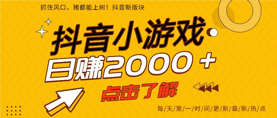 5年爆火的抖音小游戏项目，一部手机日入2000+-小艾项目网