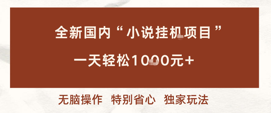 全新国内小说挂G项目，多窗口无脑跑，一天轻松1k+，特别省心【揭秘】-小艾项目网