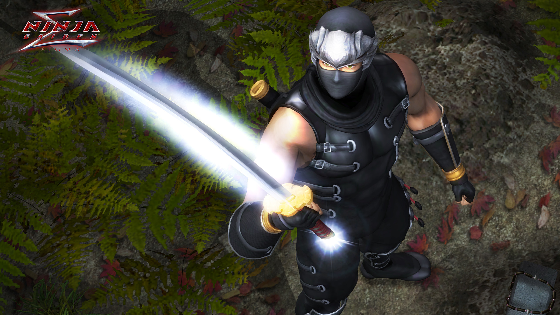《忍者龙剑传：大师合集/NINJA GAIDEN: Master Collection》PC中文版下载-含v1.0.0.3-小艾项目网