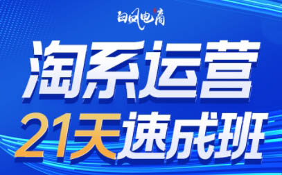 白凤电商·淘系运营21天速成班(更新2026)-小艾项目网