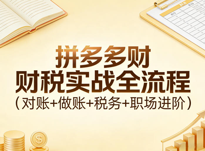 拼多多财税实战全流程(对账+做账+税务+职场进阶)-小艾项目网