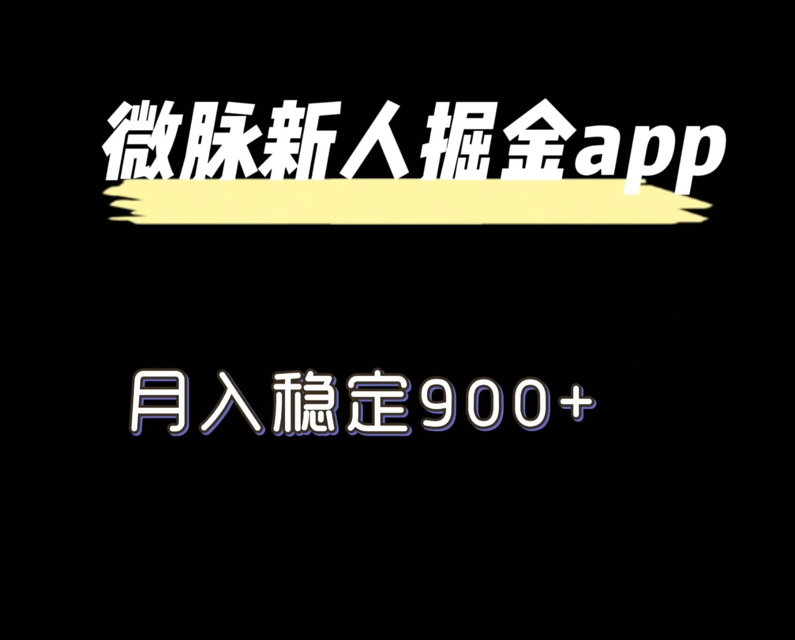 最新微脉长久项目，拉新掘金，月入稳定900+-小艾项目网