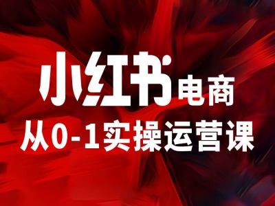 小红书电商从0-1实操运营课，让你从小白到精英-小艾项目网