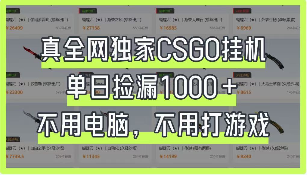 真全网独家CSGO挂机，单日捡漏1000+，不用电脑，不用养号-小艾项目网