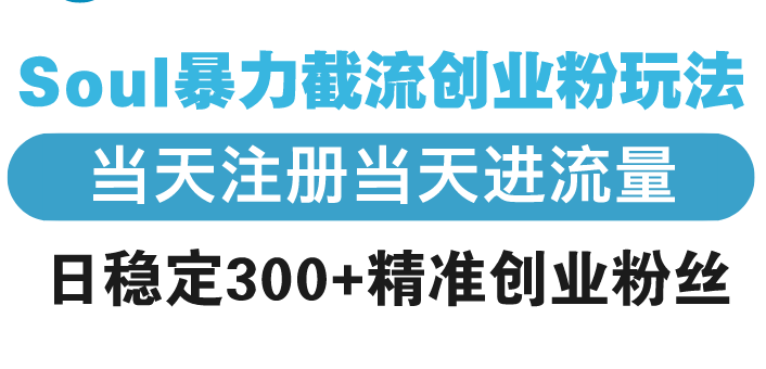 Soul暴力截流创业粉玩法，当天注册当天进流量，日稳定300+精准创业粉丝-小艾项目网