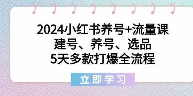 2024小红书养号+流量课:建号、养号、选品,5天多款打爆全流程-小艾项目网