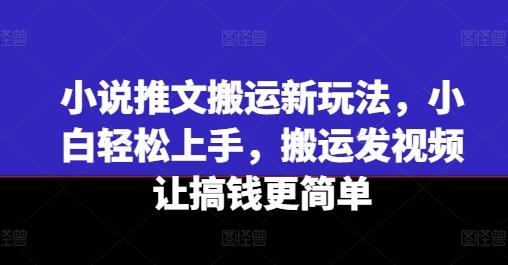 小说推文搬运新玩法，小白轻松上手，搬运发视频让搞钱更简单-小艾项目网