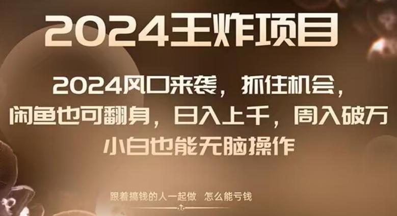 2024风口项目来袭，抓住机会，闲鱼也可翻身，日入上千，周入破万，小白也能无脑操作-小艾项目网