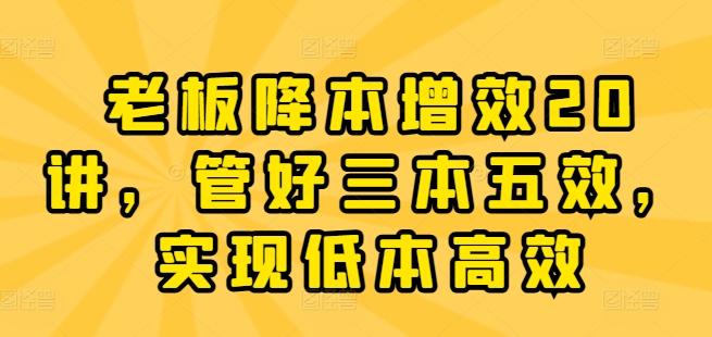 老板降本增效20讲，管好三本五效，实现低本高效-小艾项目网
