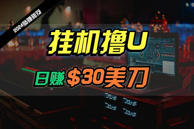 (10013期)日赚30美刀，2024最新海外挂机撸U内部项目，全程无人值守，可批量放大-小艾项目网
