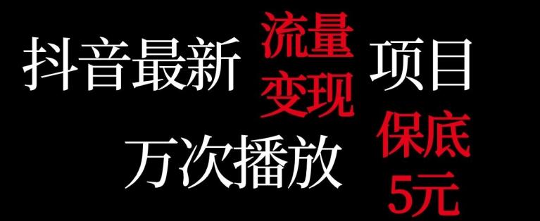 抖音流量变现，万次播放保底5元，额外收入-小艾项目网