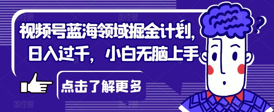 视频号蓝海领域掘金计划，日入过千，小白无脑上手【揭秘】-小艾项目网