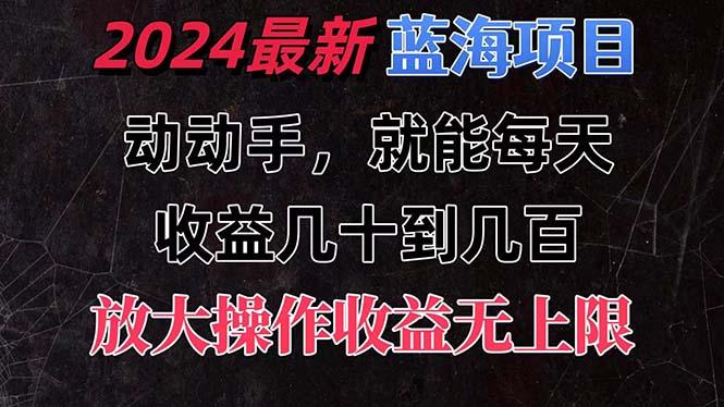 有手就行的2024全新蓝海项目，每天1小时收益几十到几百，可放大操作收...-小艾项目网