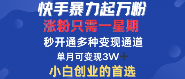 快手暴力起万粉，涨粉只需一星期，多种变现模式，直接秒开万合，单月变现过W【揭秘】-小艾项目网