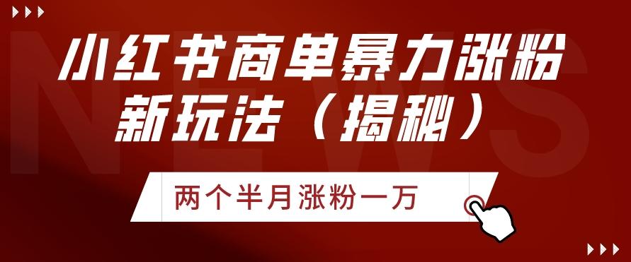 小红书商单暴力涨粉新玩法两个半月涨粉一万（揭秘）-小艾项目网