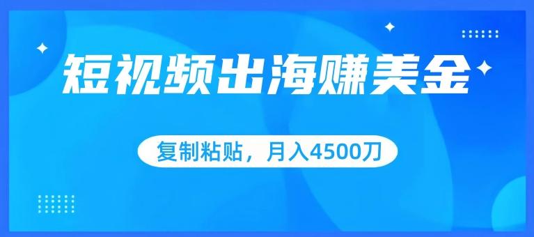 短视频出海赚美金,复制粘贴批量操作,小白轻松掌握,月入4500美刀【揭秘】