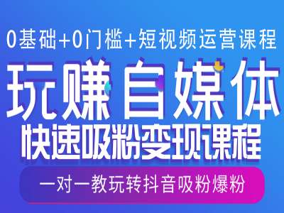 0基础+0门槛+短视频运营课程，玩赚自媒体快速吸粉变现课程，一对一教玩转抖音吸粉爆粉-小艾项目网