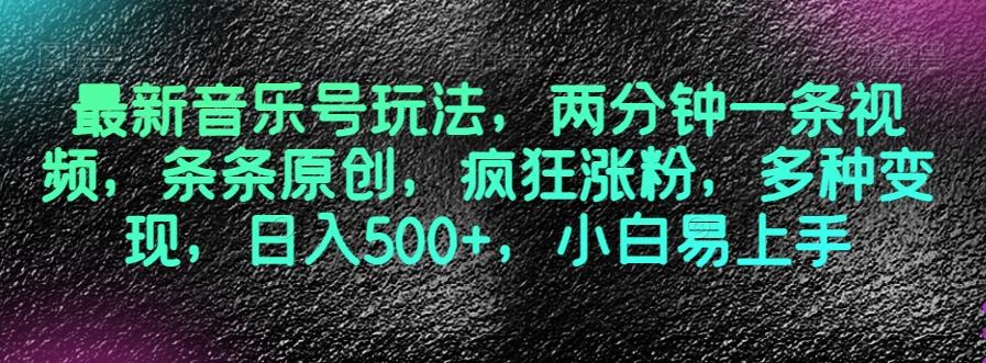 最新音乐号玩法，两分钟一条视频，条条原创，疯狂涨粉，多种变现，日入500+，小白易上手【揭秘】-小艾项目网