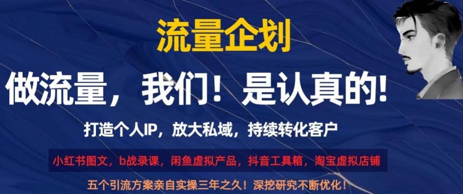 流量企划，打造个人IP，放大私域，持续转化客户【揭秘】-小艾项目网