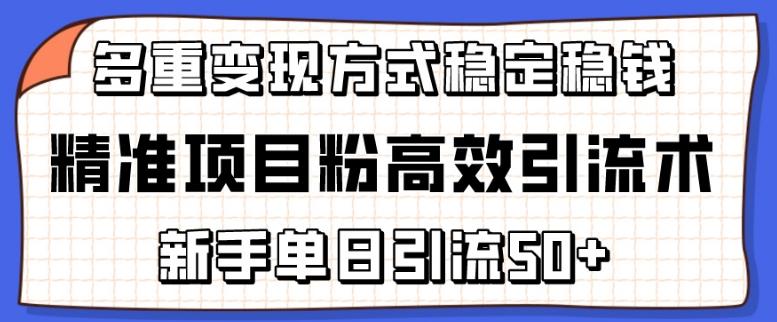 精准项目粉高效引流术，新手单日引流50+，多重变现方式稳定赚钱【揭秘】-小艾项目网