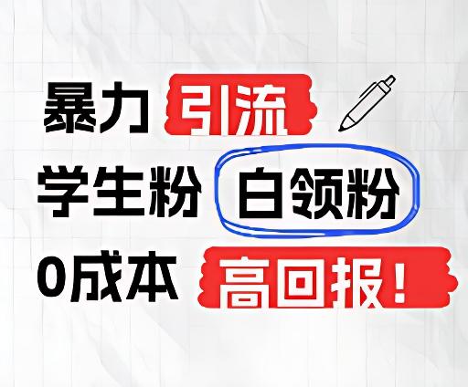 暴力引流学生粉白领粉，吊打以往垃圾玩法，0成本，高回报-小艾项目网