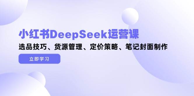 小红书DeepSeek运营课，选品技巧、货源管理、定价策略、笔记封面制作-小艾项目网
