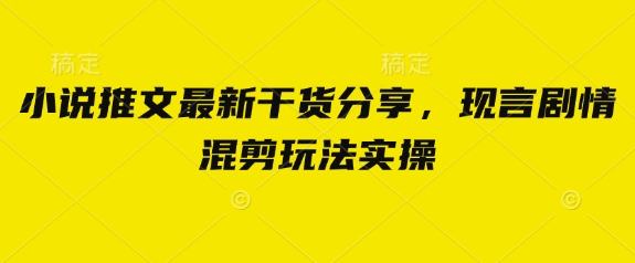 小说推文最新干货分享，现言剧情混剪玩法实操-小艾项目网