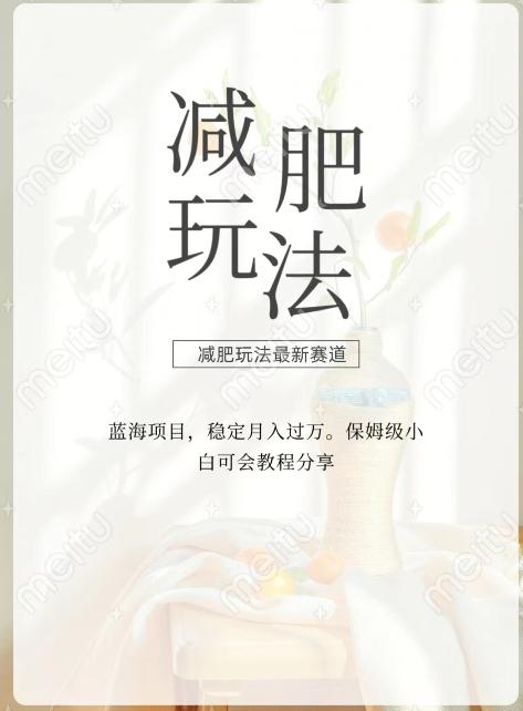 减肥流量主新玩法，轻松月入1W，可矩阵操作收入翻倍-小艾项目网