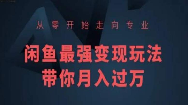 从零开始走向专业，闲鱼最强变现玩法带你月入过万-小艾项目网